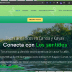 diseño de sitio web guardianes